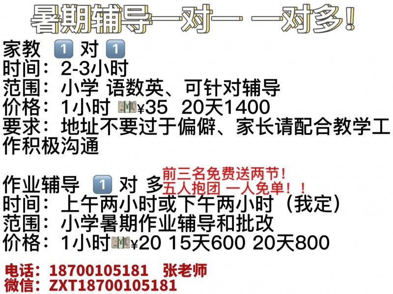 本科师范大学生暑期家教和一对多作业辅导