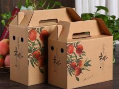 自家种的山地桃