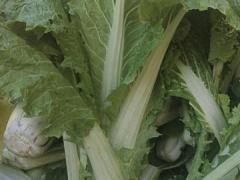 农村自家白菜，萝卜