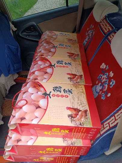 南沟土鸡蛋 个大味美 送礼佳品