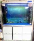 出售鱼缸