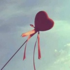 求租公寓或者单间