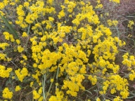 凯泽小区楼房出售