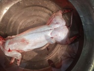 都是当日现杀现送